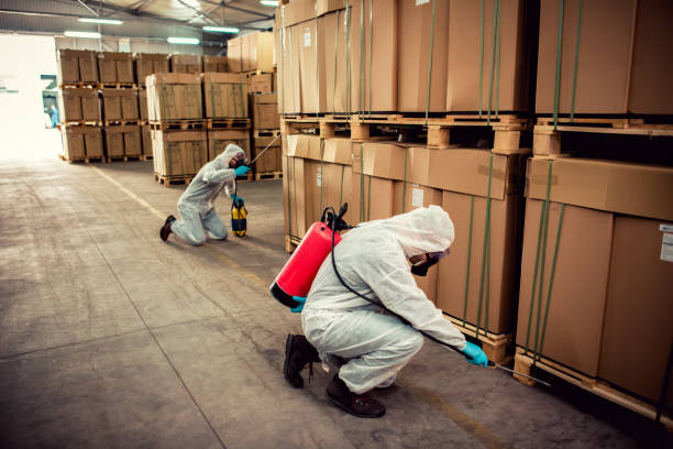 Best Mosquito Control Services  in River Road, OR