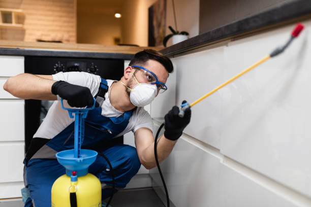Best Pest Removal Services  in River Road, OR