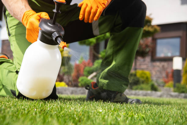 Best Cockroach Control Services  in River Road, OR