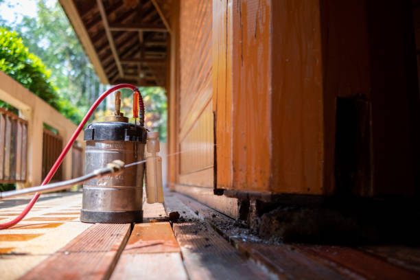Best Wasp Removal Services  in River Road, OR